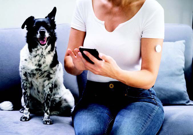 Human-Dog Diabetes Connection