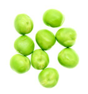 Eyes on Peas in Grain-Free Diets