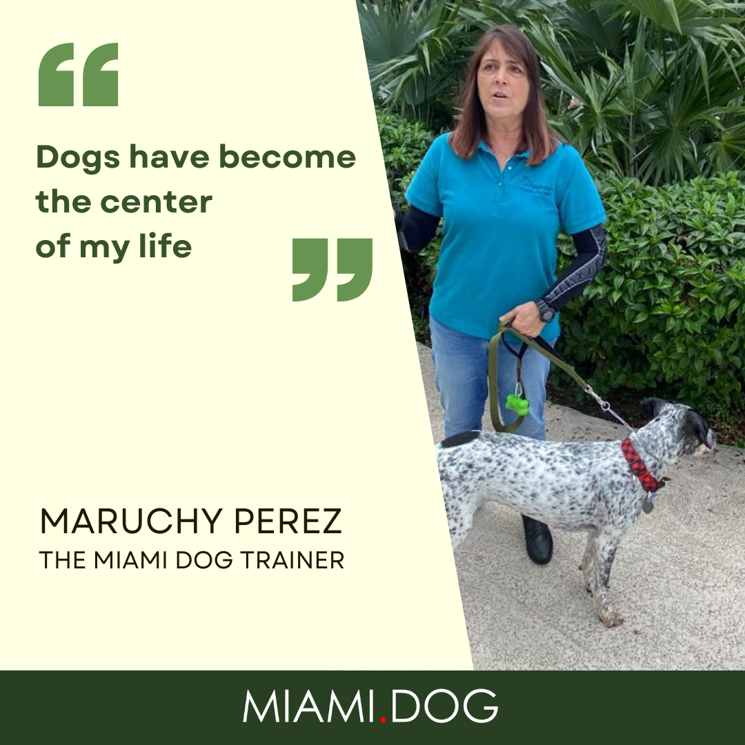 Miami Dog Trainer