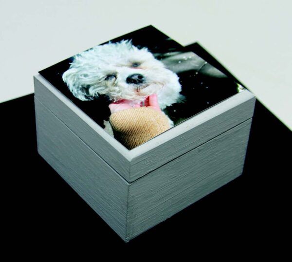 Accordion Photo Box