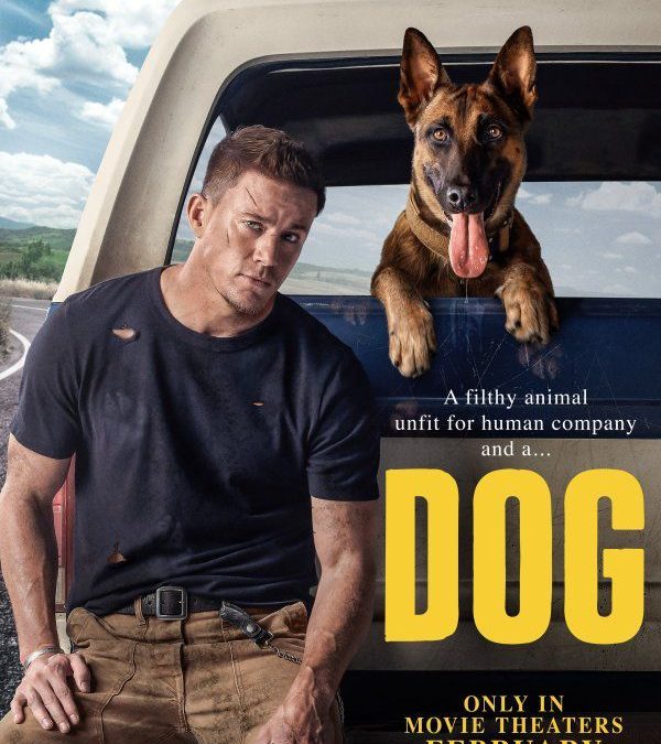 Interview with Belgian Malinois Lulu from Channing Tatum’s DOG movie