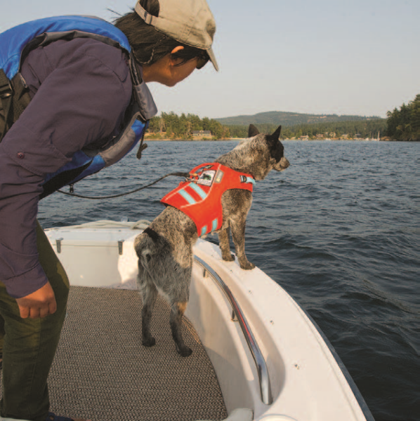 People & Dogs Who Help the Environment