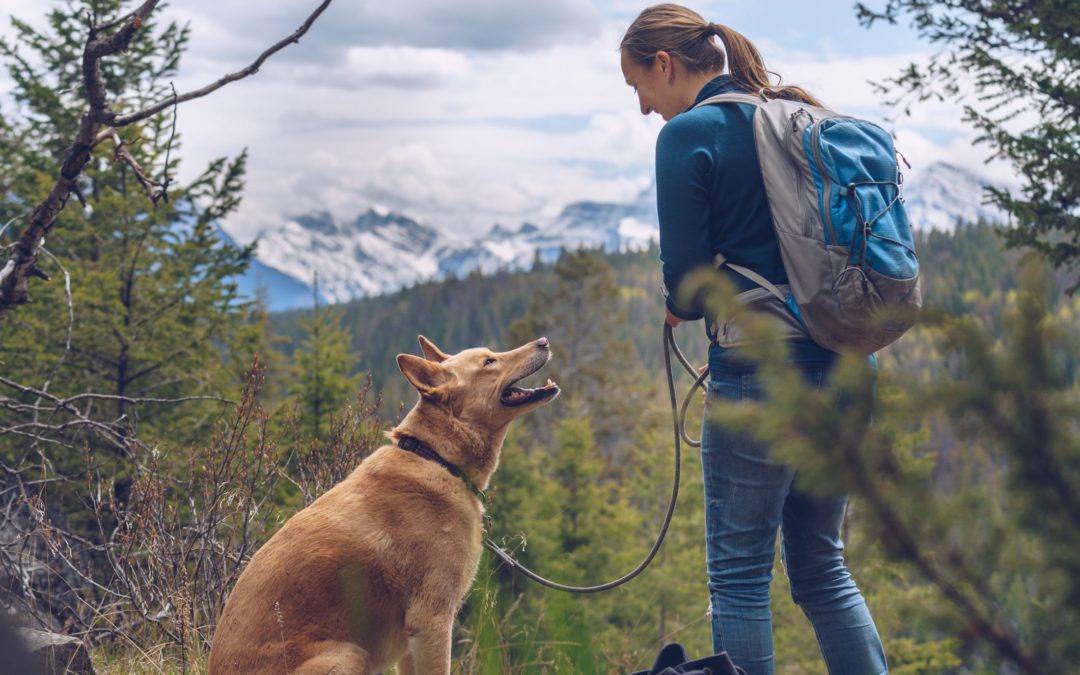 Dog-Friendly Hikes with a Picture-Perfect View