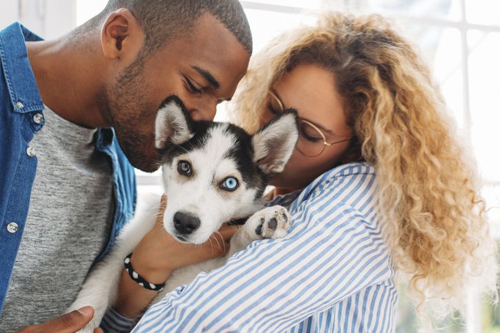 What is Heterochromia in Dogs?