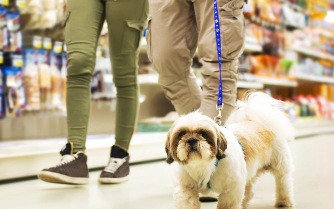 How to Find Dog-Friendly Stores