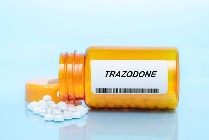 What You Should Know About Trazodone for Dogs