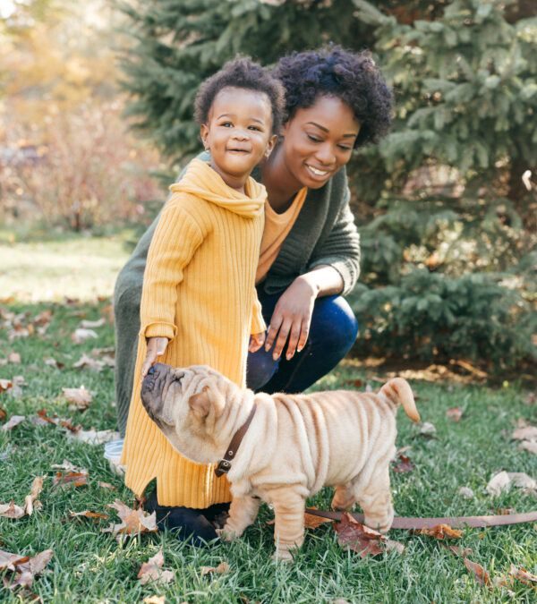 How To Introduce A Dog To A Baby and Young Children