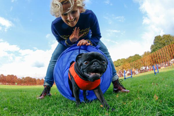 The Ultimate List of Dog Sports