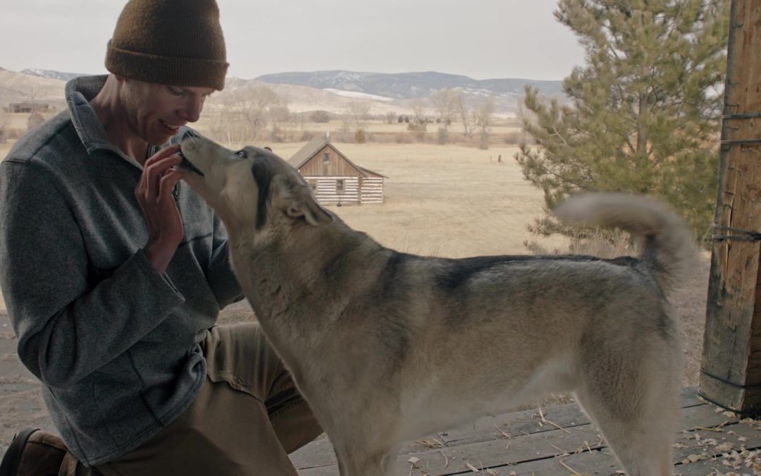 New Movie Features Rescued Siberian Husky