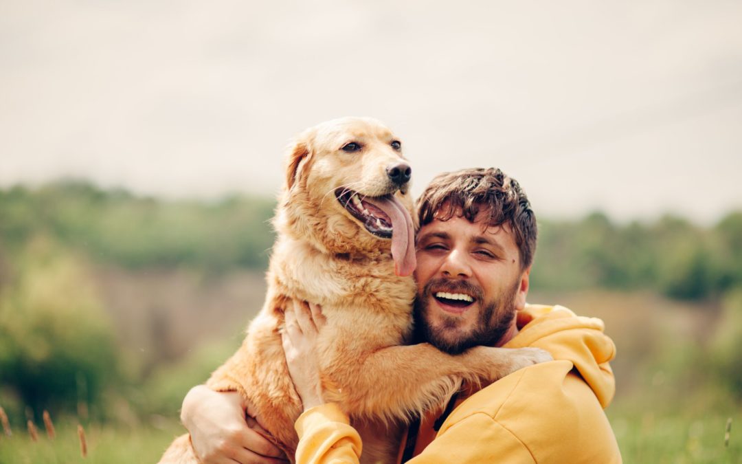 How To Build Trust With Your Dog