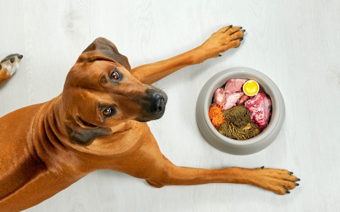 3 Raw Dog Food Diets and How to Get Started