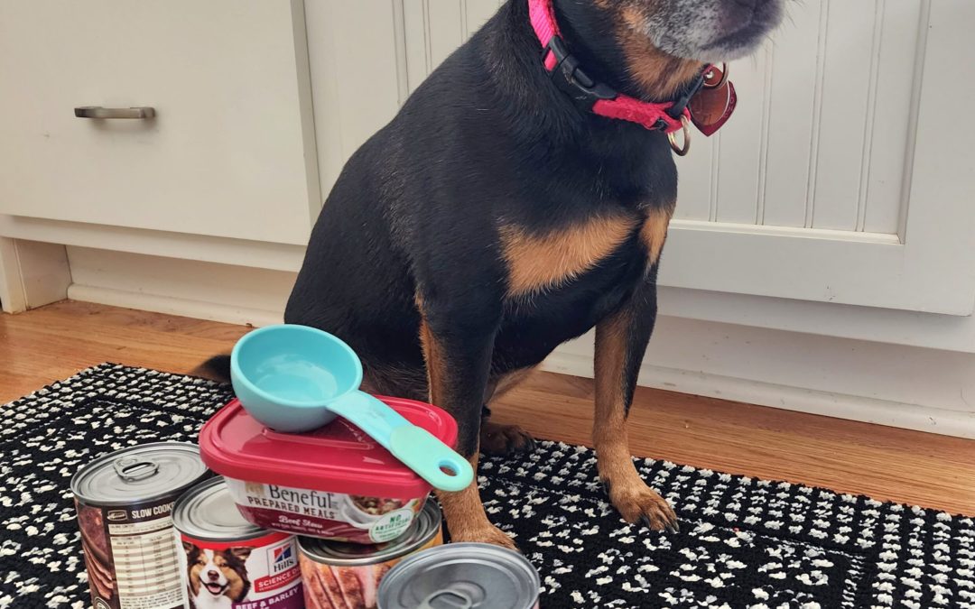 How Much Canned Food to Feed a Dog?