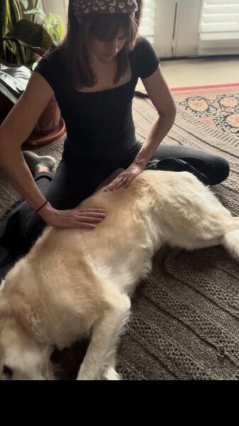 Dog Massage for Arthritis