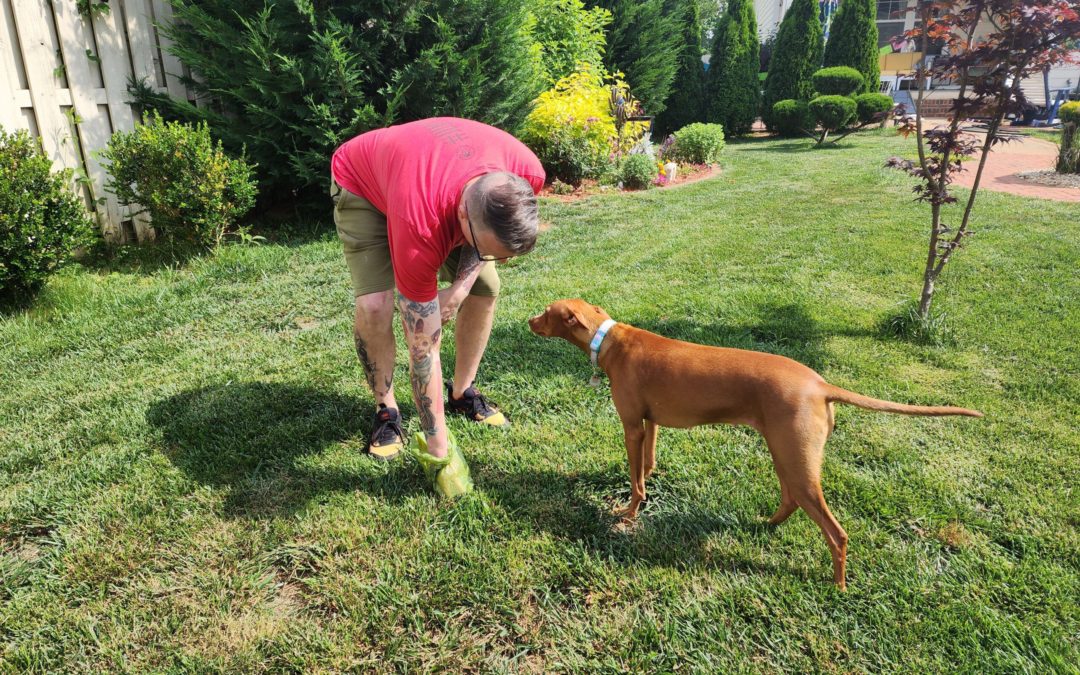 The Best Biodegradable Poop Bag