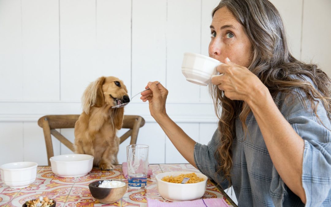 Can Dogs Have Almond Milk?