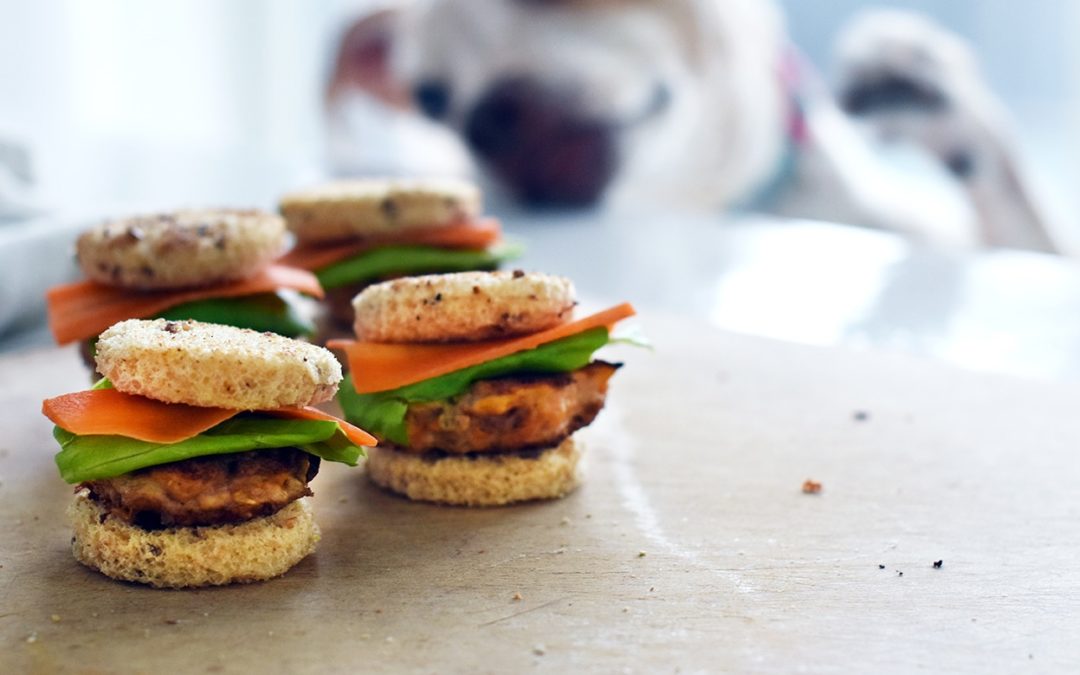 Easy Dog Treat Recipe: Mini Turkey Sliders