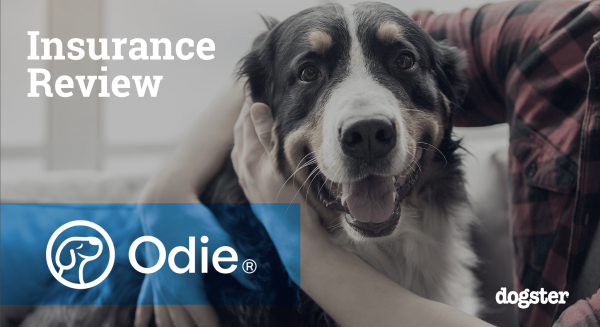 Odie Pet Insurance Review 2024: An Expert’s Breakdown